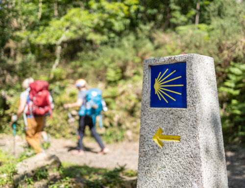 La llegada a Puente la Reina, uno de los momentos más especiales del Camino De Santiago