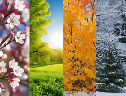 Las mejores temporadas para hacer el Camino de Santiago