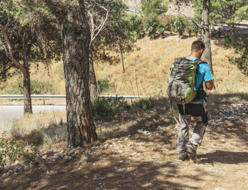 El momento en el que entiendes el Camino y por qué deberías vivirlo incluso solo